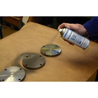 Stainless Steel Spray - 400ml