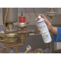 Leak Detection Spray - 400ml