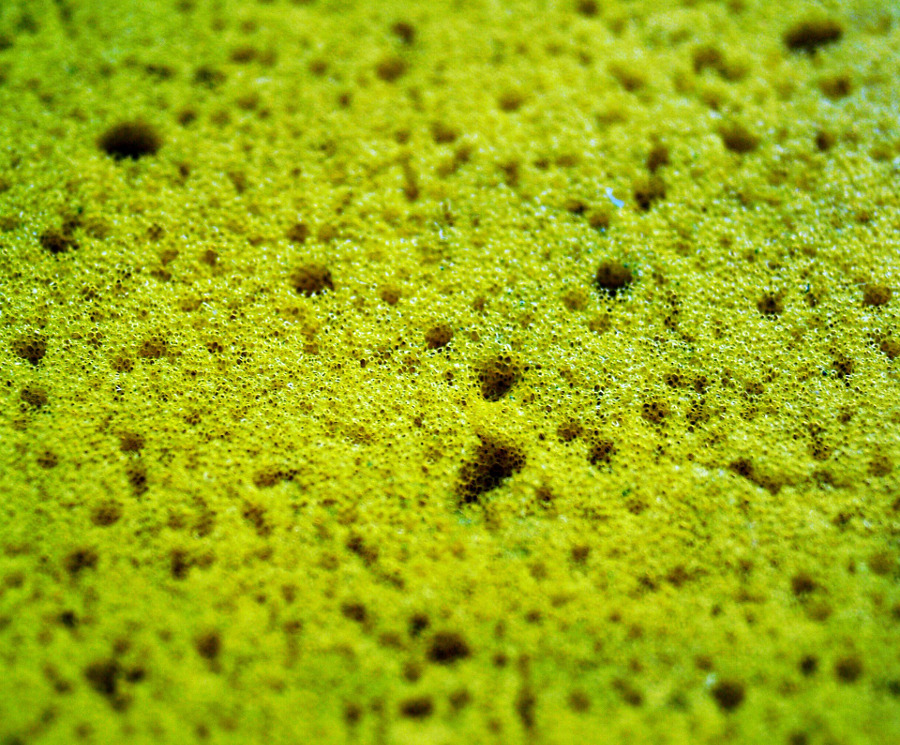 Different Kinds of Sponge and Foam