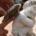 Concrete Repair Stick on Angel Statue